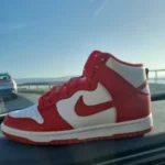 Nike Sb Dunk photo review