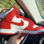 Nike Sb Dunk photo review