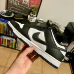 Nike Dunk Low photo review