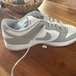 Nike Dunk Low photo review