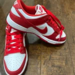 Nike Dunk Low photo review